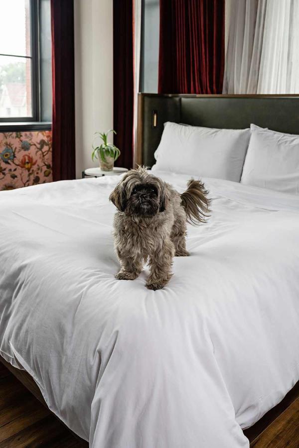 טורונטו The Broadview Hotel מראה חיצוני תמונה